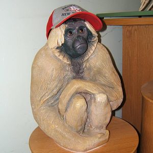 Gibbon Statue