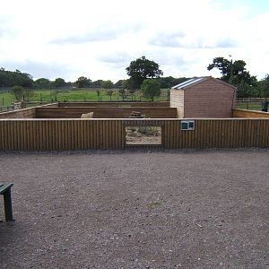 Meerkat/Raccoon Dog enclosires