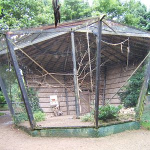 Raven enclosure