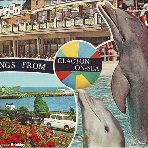 Postcard 1973