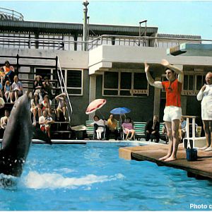 1973, the pier had a great line up of attractions