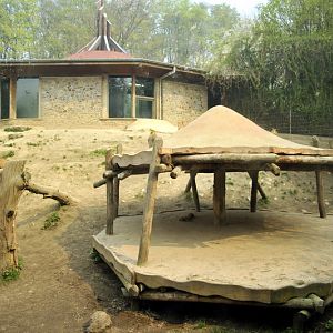 Lionenclosure at osnabrück zoo