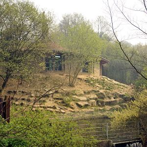 Lionenclosure at osnabrück zoo