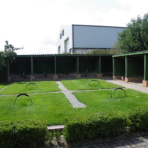 Suffolk0709 07 S1800