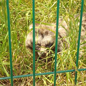 Animal Zone, Penkridge, Staffs.