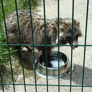 Animal Zone, Penkridge, Staffs.