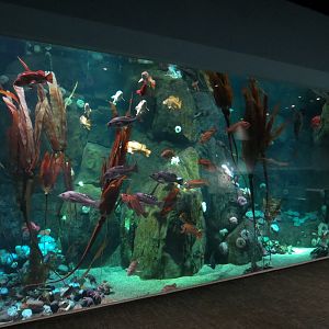 Pacific Seas Aquarium - Northwest Waters