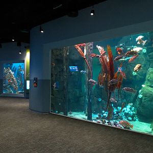 Pacific Seas Aquarium - Hallway