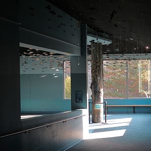 Pacific Seas Aquarium - Hallway