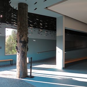 Pacific Seas Aquarium - Hallway