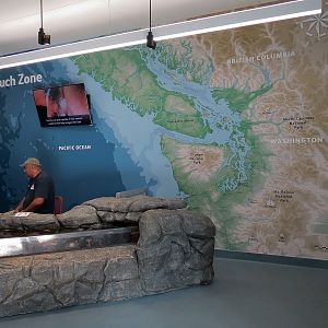 Pacific Seas Aquarium - Tidal Touch Zone