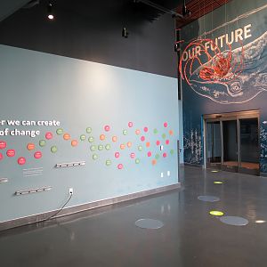 Pacific Seas Aquarium - Exit Lobby