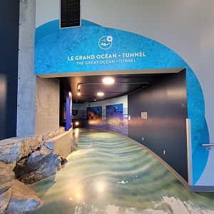 Aquarium du Quebec - Pavillon des eaux douces et salées, The Great Ocean Tunnel