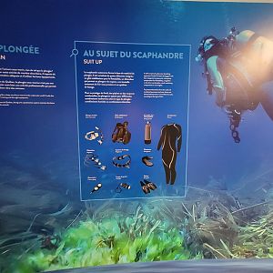 Aquarium du Quebec - Pavillon des eaux douces et salées, The Great Ocean Tunnel