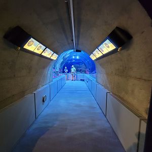 Aquarium du Quebec - Pavillon des eaux douces et salées, The Great Ocean Tunnel