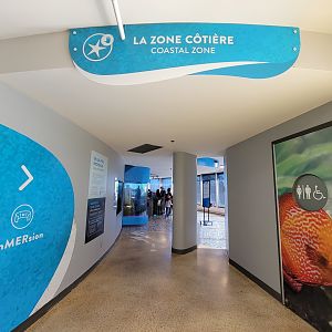 Aquarium du Quebec - Pavillon des eaux douces et salées, 3rd floor, Coastal Zone
