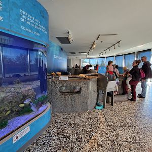 Aquarium du Quebec - Pavillon des eaux douces et salées, 3rd floor, Coastal Zones touch tank