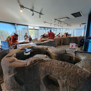 Aquarium du Quebec - Pavillon des eaux douces et salées, 3rd floor, coastal waters touch tank
