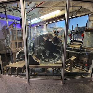 Aquarium du Quebec - Pavillon des eaux douces et salées, 3rd floor, Aqua Lab (moon jellies)