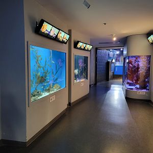 Aquarium du Quebec - Pavillon des eaux douces et salées, 3rd floor