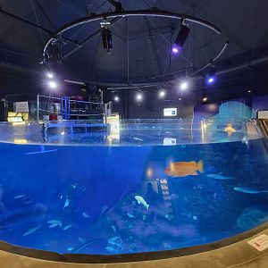 Aquarium du Quebec - Pavillon des eaux douces et salées, 3rd floor, Top of tunnel