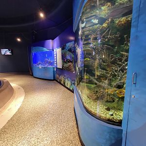 Aquarium du Quebec - Pavillon des eaux douces et salées, 3rd floor, salt reef tanks