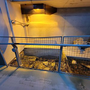 Aquarium du Quebec - Pavillon des eaux douces et salées, 1st Floor, area where people toss coins?