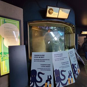 Aquarium du Quebec - Pavillon des eaux douces et salées, 1st Floor, Piranha tank construction