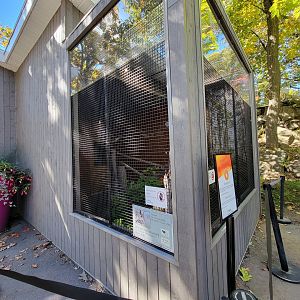 Aquarium du Quebec - Eurasian Eagle-Owl