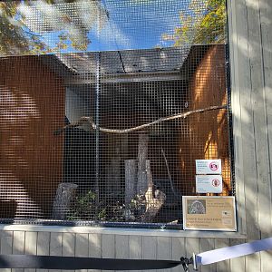 Aquarium du Quebec - Great Horned Owl