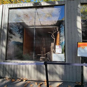 Aquarium du Quebec - Barred Owl