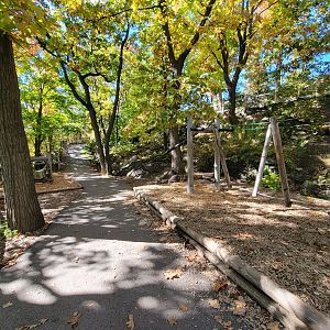 Aquarium du Quebec - Adventure course
