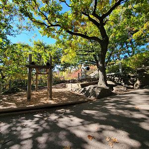 Aquarium du Quebec - Adventure course