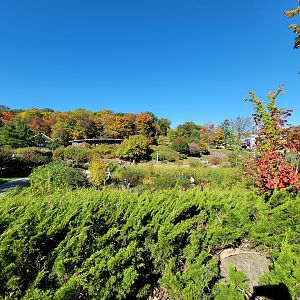 Aquarium du Quebec - Overlooking the gardens