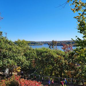 Aquarium du Quebec - The St Lawrence