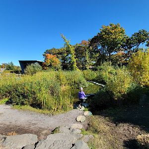 Aquarium du Quebec - Gardens