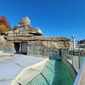 Aquarium du Quebec - Pinniped separation area, pool connection