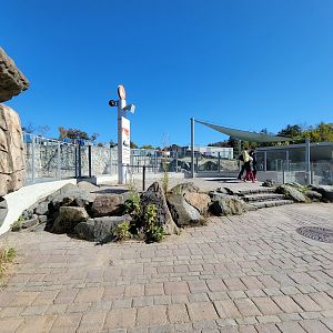 Aquarium du Quebec - Walrus viewing area