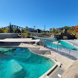 Aquarium du Quebec - Walrus pools