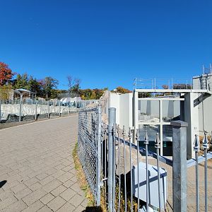 Aquarium du Quebec - Path between walrus and polar bears, bear underwater viewing to the right