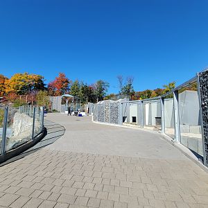 Aquarium du Quebec - Path between walrus and polar bears