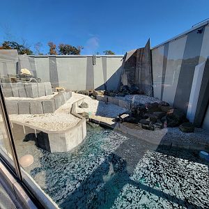Aquarium du Quebec - Polar Bears, rock yard