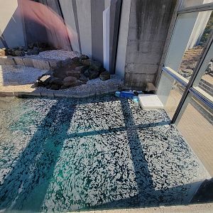 Aquarium du Quebec - Polar Bears, rock yard, viewing window