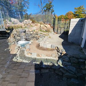 Aquarium du Quebec - Polar Bears, grass yard