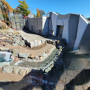 Aquarium du Quebec - Polar Bears, grass yard