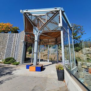 Aquarium du Quebec - Polar Bears, grass yard
