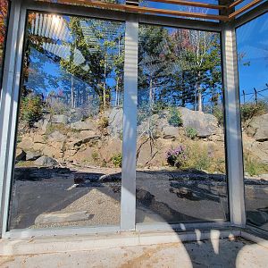 Aquarium du Quebec - Polar Bears, grass yard