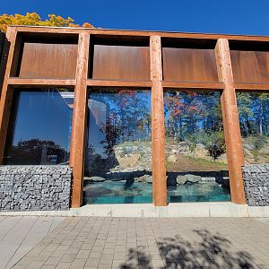 Aquarium du Quebec - Polar Bears, grass yard