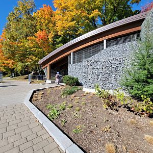 Aquarium du Quebec - Polar Bears, grass yard pavilion