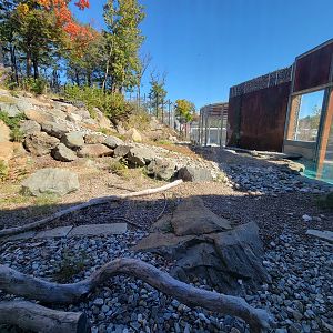 Aquarium du Quebec - Polar Bears, grass yard